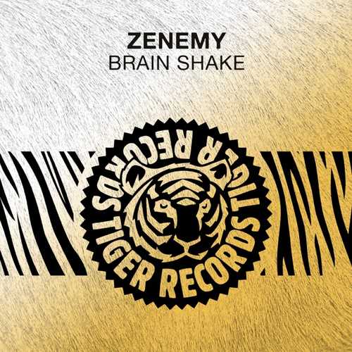Скачать песню Zenemy - Brain Shake (Original Mix)